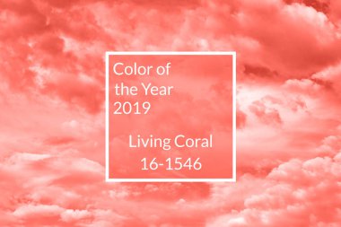 Gökyüzü bulutlu, kopya alanı. Mercan arka plan yaşayan. Yıl 2019 rengi. Doğa cenneti arka plan