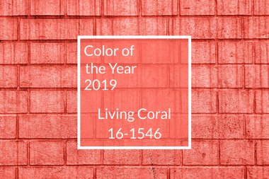 Tuğla duvar doku, kopya alanı. Mercan arka plan yaşayan. Yıl 2019 rengi. Üstten görünüm, düz yatıyordu