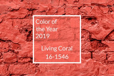 Tuğla duvar doku, kopya alanı. Mercan arka plan yaşayan. Yıl 2019 rengi. Üstten görünüm, düz yatıyordu