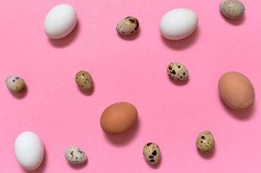 Tavuk yumurta beyaz ve kahverengi ve bıldırcın yumurtası pembe arka plan, kopya alanı üzerinde. Sağlıklı gıda kavramı. Üstten görünüm, düz yatıyordu. Paskalya yumurtaları. Mutlu Paskalya kavramı