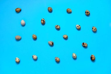 Mavi arka plan, kopya alanı üzerinde bıldırcın yumurtası. Sağlıklı gıda kavramı. Üstten görünüm, düz yatıyordu. Paskalya yumurtaları. Mutlu Paskalya kavramı
