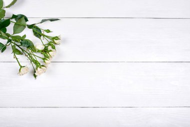 Bahar arka plan bej gül ahşap arka plan, kopya alanı üzerinde grup ile. Düz yatıyordu, en iyi görünüm. Sevgililer günü, Womans gün (8 Mart), anneler günü, Paskalya için tatil tebrik kartı