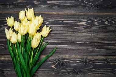 Lale çiçek, kopya alanı Grup ile bahar arka plan. Ahşap zemin üzerine sarı laleler. Düz yatıyordu, en iyi görünüm. Sevgililer günü, Bayan günü, Mart 8, anneler günü, Paskalya için tatil tebrik kartı