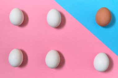 Mavi ve pembe pastel arka plan, kopya alanı üzerinde yumurta. Kağıt arka plan iki rengi ile üzerinde yumurta. Paskalya yumurtaları. Düz yatıyordu, en iyi görünüm. Bireysellik, üstün, benzersiz, bağımsızlık