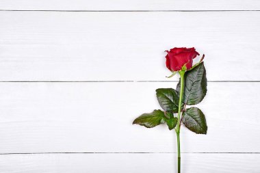 Güzel bir kırmızı beyaz ahşap zemin, kopya alanı üzerine yükseldi. Uluslararası kadın günü için tebrik kartı, Mart 8, yakın çekim anneler günü, Sevgililer günü, düğün, Doğum günü,