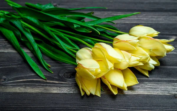 Fundo Primavera Com Monte Flores Tulipa Espaço Cópia Tulipas Amarelas — Fotografia de Stock