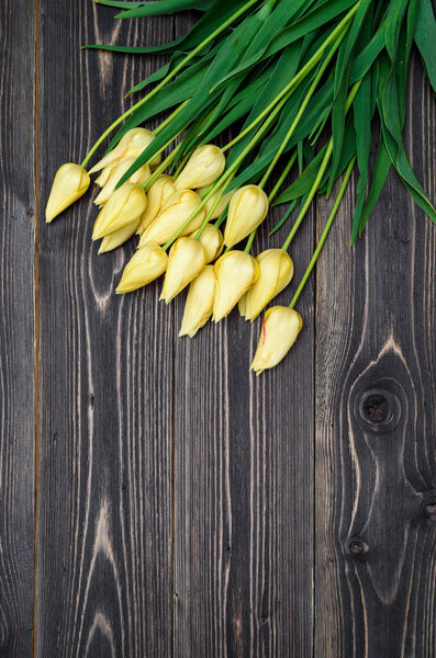 Весенний фон с кучей цветов тюльпана, пространство для копирования. Желтые тюльпаны на деревянном фоне. Квартира лежала, вид сверху. Открытки на день Святого Валентина, Женский день (8 марта, День матери, Пасха
