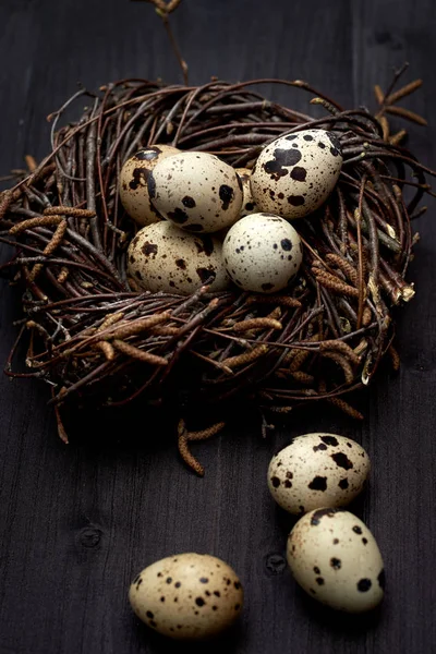 Quail eggs in nest on rustic wooden background, copy space. Healthy food concept. Top view, flat lay. Easter eggs. Happy Easter concept