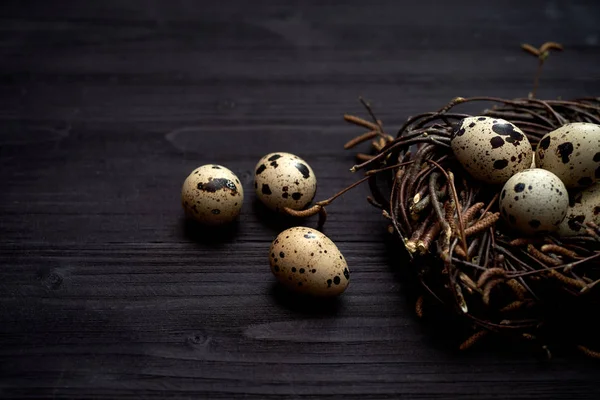 Quail eggs in nest on rustic wooden background, copy space. Healthy food concept. Top view, flat lay. Easter eggs. Happy Easter concept