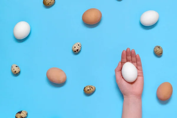 Woman holding white egg in hand with eggs on blue background, copy space. Healthy food concept. Top view, flat lay. Easter eggs. Happy Easter concept