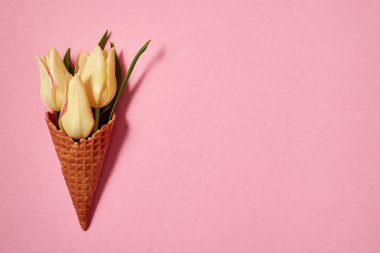 Sarı laleler dondurma koni üzerinde pastel pembe kopya alanı. Bahar en az kavramı. Bayan günü, anneler günü, Sevgililer günü, Paskalya, Doğum günü. Doğa arka plan. Düz yatıyordu, en iyi görünümü