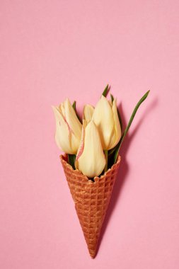 Sarı laleler dondurma koni pembe arka plan, kopya alanı üzerinde. Bahar en az kavramı. Bayan günü, anneler günü, Sevgililer günü, Paskalya, Doğum günü. Doğa arka plan. Düz yatıyordu, en iyi görünümü