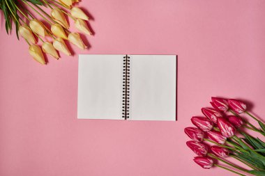 Lale buketi ve pembe bir arka plan, kopya alanı üstünde açık boş defter. Bahar en az kavramı. Bayan günü, anneler günü, Sevgililer günü, Paskalya, Doğum günü. Doğa arka plan. Düz yatıyordu, en iyi görünümü