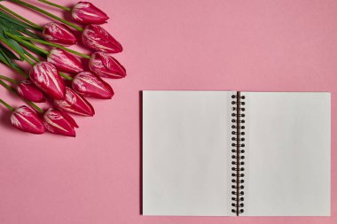 Lale buketi ve pembe bir arka plan, kopya alanı üstünde açık boş defter. Bahar en az kavramı. Bayan günü, anneler günü, Sevgililer günü, Paskalya, Doğum günü. Doğa arka plan. Düz yatıyordu, en iyi görünümü