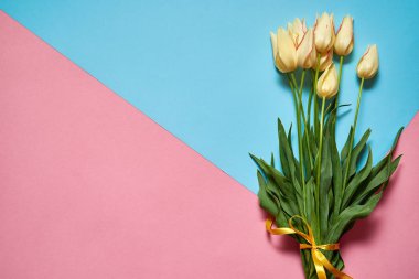 Pembe ve mavi pastel arka plan, kopya alanı üzerinde lale buketi. Bahar en az kavramı. Bayan günü, anneler günü, Sevgililer günü, Paskalya, Doğum günü. Doğa arka plan. Düz yatıyordu, en iyi görünümü