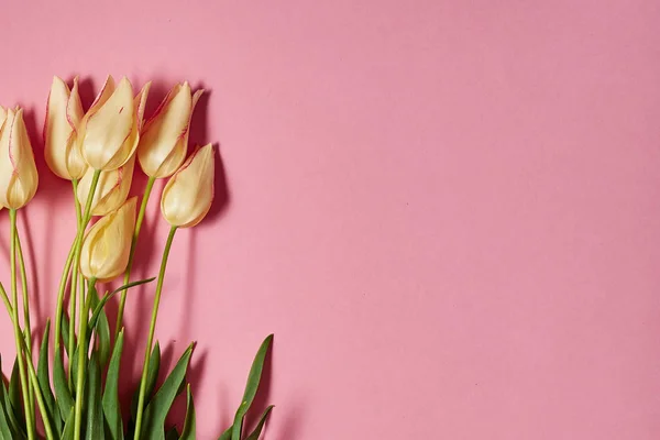 Ramo Tulipanes Amarillos Sobre Fondo Pastel Rosa Espacio Para Copiar —  Fotos de Stock