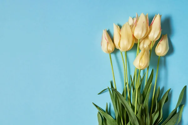 Ramo Tulipanes Amarillos Sobre Fondo Pastel Azul Espacio Para Copiar —  Fotos de Stock