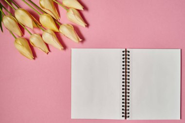 Lale sarı ve pembe pastel arka planda, kopya alanı boş not defterini açtınız. Bahar en az kavramı. Bayan günü, anneler günü, Sevgililer günü, Paskalya, Doğum günü. Düz yatıyordu, en iyi görünümü
