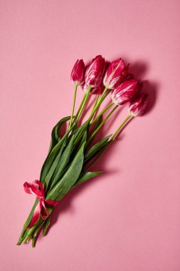 Pastel pembe kopya alanı üzerinde lale buketi. Bahar en az kavramı. Bayan günü, anneler günü, Sevgililer günü, Paskalya, Doğum günü. Doğa arka plan. Düz yatıyordu, en iyi görünümü