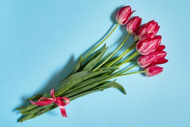 Mavi pastel renkli, kopya alanı üzerinde pembe lale buketi. Bahar en az kavramı. Bayan günü, anneler günü, Sevgililer günü, Paskalya, Doğum günü. Doğa arka plan. Düz yatıyordu, en iyi görünümü