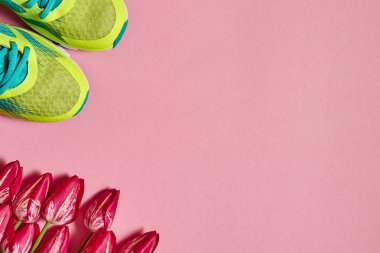 Çift spor ayakkabı ve lale pembe pastel arka plan üzerinde. Yeni spor ayakkabıları, kopya alanı. Ayak çalışan genel gider atış giymek. Üstten görünüm, düz yatıyordu. Bahar, spor, en az kavramı