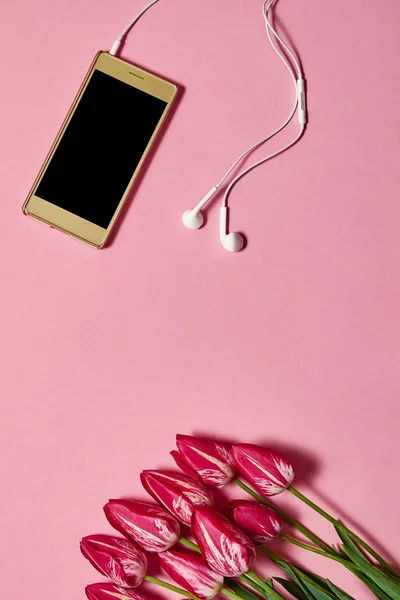 Tulips and mobile cellphone with earphones on pink pastel background, copy space. Spring minimal concept. Womens Day, Mothers Day, Valentine\'s Day. Nature background. Flat lay, top view