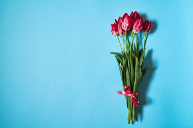 Mavi pastel renkli, kopya alanı üzerinde pembe lale buketi. Bahar en az kavramı. Bayan günü, anneler günü, Sevgililer günü, Paskalya, Doğum günü. Doğa arka plan. Düz yatıyordu, en iyi görünümü