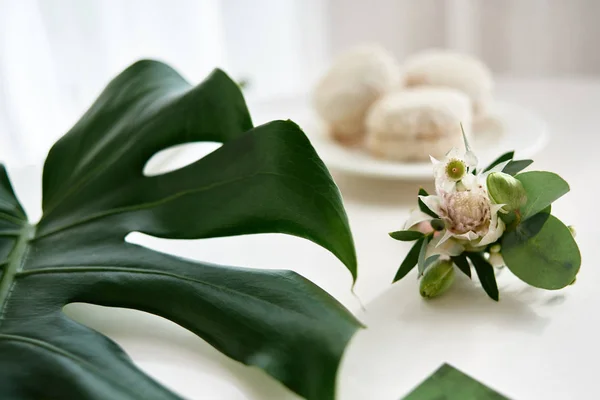Wedding boutonniere, large green monstera leaf and french macaro — Stock Photo, Image
