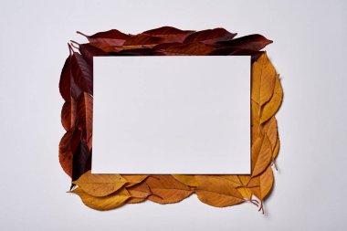 Sonbahar kompozisyonu. Boş kağıttan yapılmış çerçeve, sarı ve kırmızı le