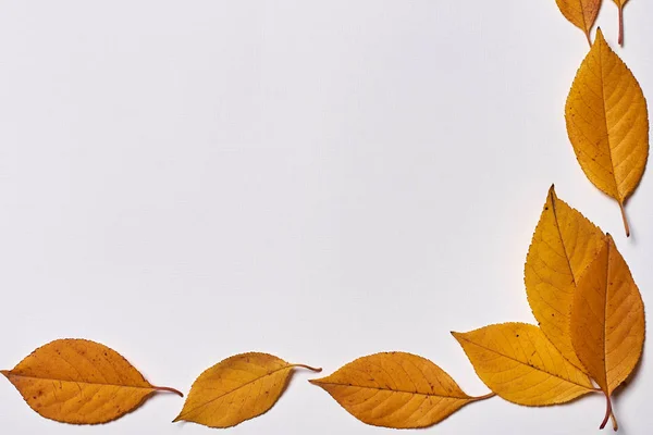 Composición de otoño. Marco de hojas amarillas y rojas sobre blanco —  Fotos de Stock
