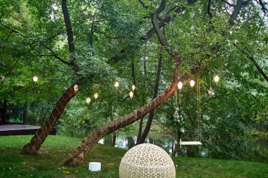 Orkide çiçekleri ve monstera palmiye yaprakları ile düğün salıncak hangi