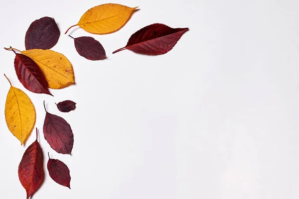 Autumn composition. Frame made of red and yellow leaves on white — Stock Photo, Image