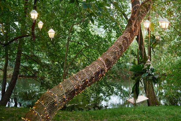 Columpio de boda con flores de orquídea y hojas de palma monstera hangi —  Fotos de Stock