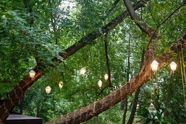 Lüks düğün süslemeleri açık havada, kopya alanı. Çiçek aranjmanı