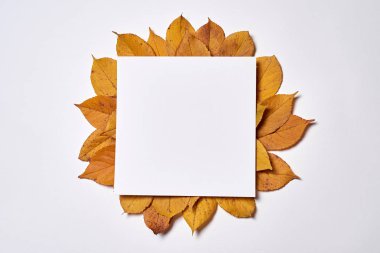 Whit üzerinde boş kağıt ve sarı yapraklardan yapılmış sonbahar kompozisyonu