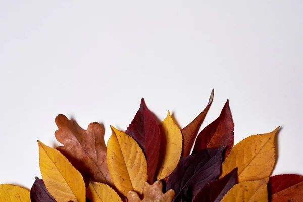 Composición de otoño. Marco hecho de hojas secas amarillas y rojas en —  Fotos de Stock