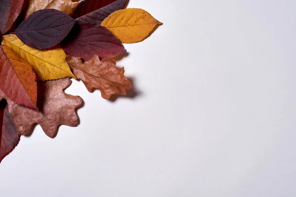Autumn composition made of dried yellow and red leaves on white — Stock Photo, Image