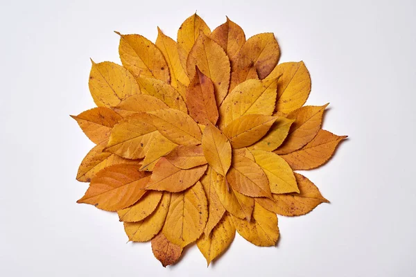 Autumn composition made of yellow leaves on white background. Fa — Stock Photo, Image