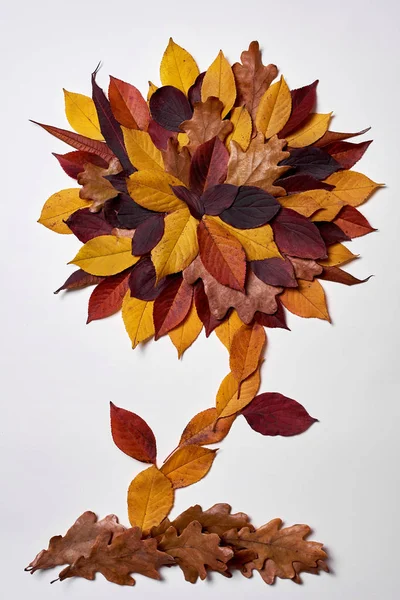 Autumn composition made of dried yellow and red leaves on white — Stock Photo, Image