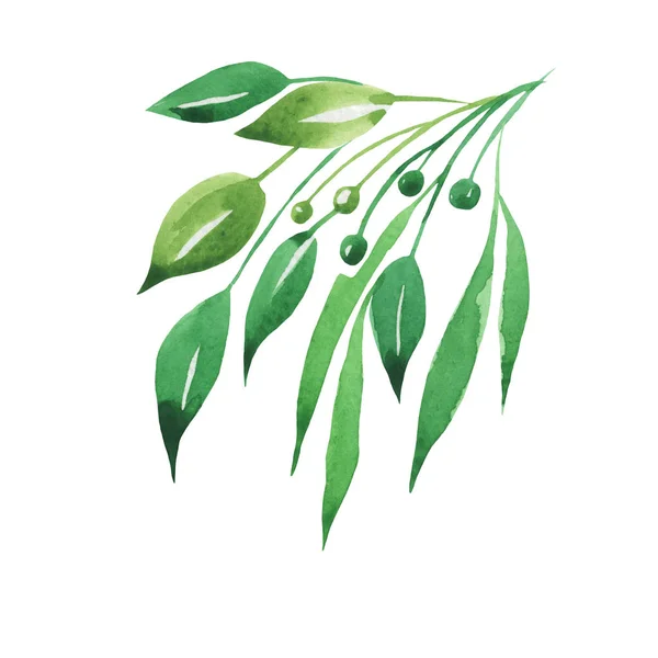 나뭇잎 디자인 요소로 수채화 손으로 나뭇잎에 화이트 — 스톡 사진
