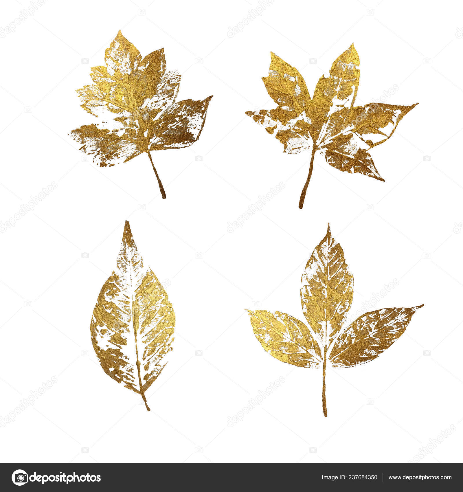 Gold Leaves Design Set Isolated White Background Leaf Print Gold Stock  Photo by ©Elenavic 237684350