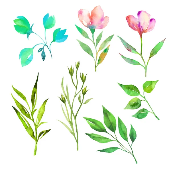 Spring floral set watercolor 1 — Stock Photo, Image