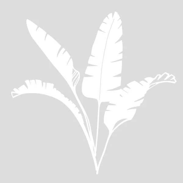 棕榈叶作为一种设计元素 灰色背景的白色轮廓 手绘油墨风格 矢量图解 孤立的模式 纹身的灵感 — 图库矢量图片