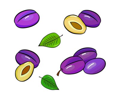 Elmalı, erikli ve yapraklı meyveler. Elle çizilmiş renkli çizim. Beyaz üzerine vektör illüstrasyonu. Gıda arkaplanı.