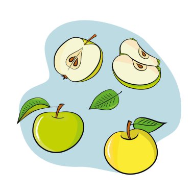 Elmalı, erikli ve yapraklı meyveler. Elle çizilmiş renkli çizim. Beyaz üzerine vektör illüstrasyonu. Gıda arkaplanı.