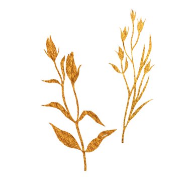 Çiçek tasarım elementleri ve çimen altın. El çizimi taslak tarzı. Beyaz üzerine doğa arkaplanı.