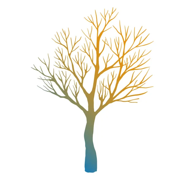 Zimowe Drzewo Bez Liści Ręcznie Rysowany Szkic Sztuka Linii Kolorowy — Wektor stockowy