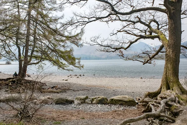 Derwent Water Lake District Cumbria Italia 16 Aprile 2019 vista tranquilla della riva del lago — Foto Stock