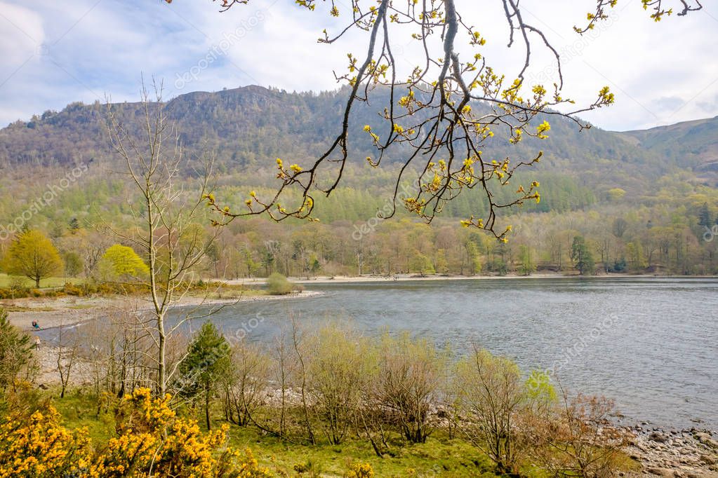 Derwent Water Lake District Cumbria UK April 16 2019 peaceful view of lake shore