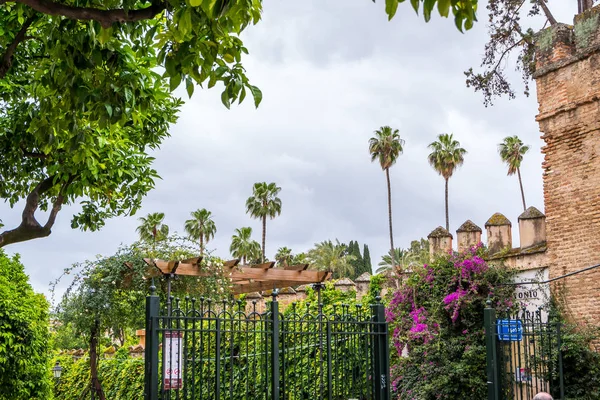 Parque de Maria Luisa - Parque Maria Luisa en Sevilla, Andalucía, España —  Fotos de Stock